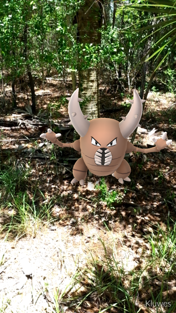 IMG_2016-07-07-13393430