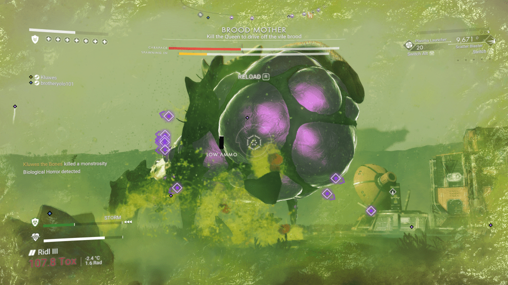 Weird Bug Creatures and&nbsp;Stuff